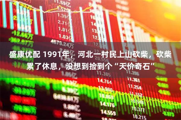 盛康优配 1991年，河北一村民上山砍柴，砍柴累了休息，没想到捡到个“天价奇石”
