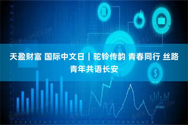天盈财富 国际中文日｜驼铃传韵 青春同行 丝路青年共语长安