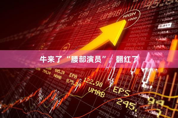 牛来了 “腰部演员”，翻红了