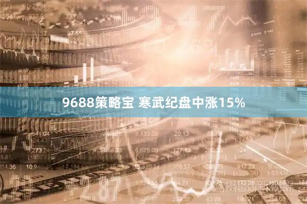 9688策略宝 寒武纪盘中涨15%